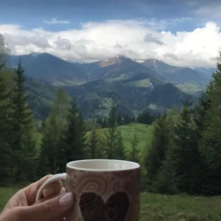 дзен хата * Dzembronya