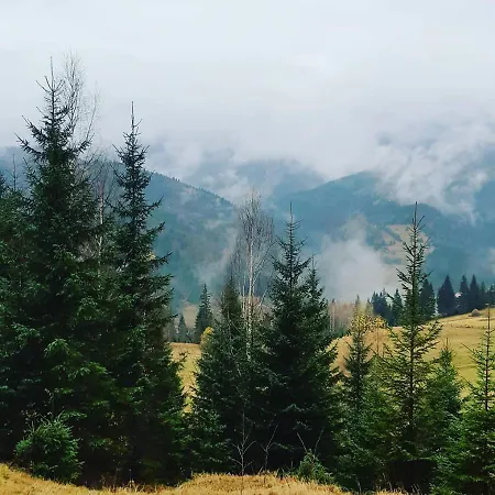 дзен хата Dzembronia