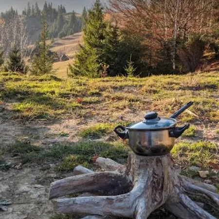 дзен хата Dzembronya