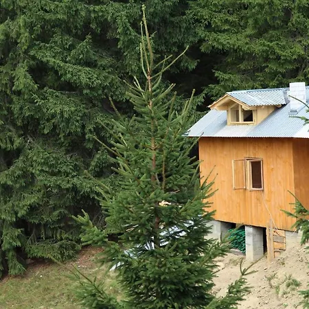 дзен хата Tatil Evi *