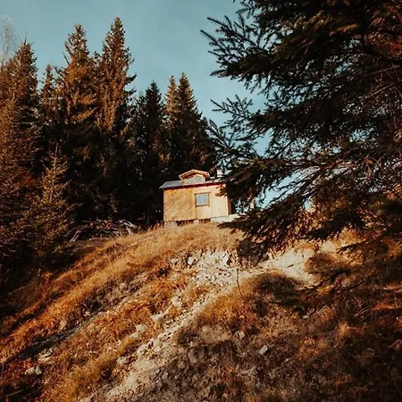 дзен хата Dzembronia