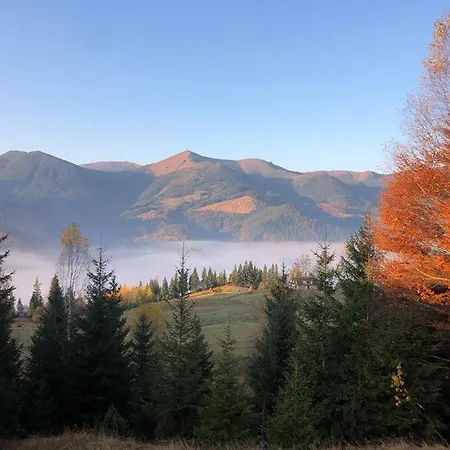 дзен хата Dzembronya