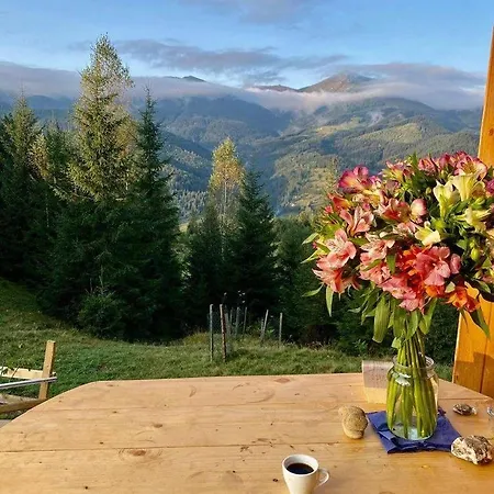 дзен хата Holiday home *