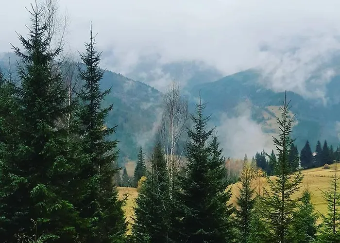 дзен хата Dzembronya